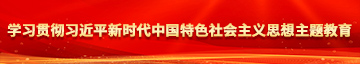 插骚视频学习贯彻习近平新时代中国特色社会主义思想主题教育